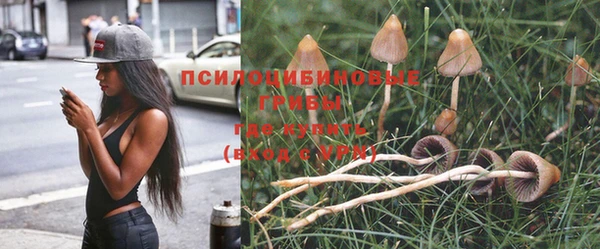 соль курить ск Алзамай