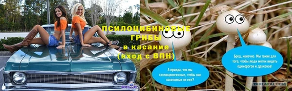 тгк Алексин