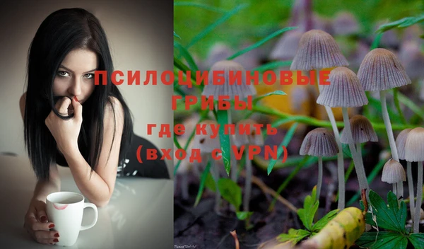 каннабис Алексеевка